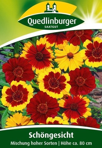 Schöngesicht mischung hoher - schÖngesicht,