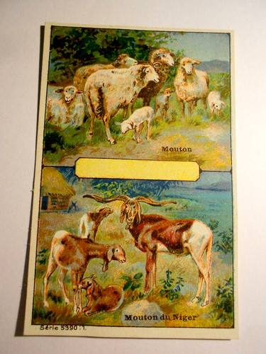Wundeschön alt selten 1900 - selten,