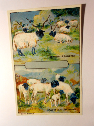 Wundeschön alt selten 1900 - wundeschÖn, um