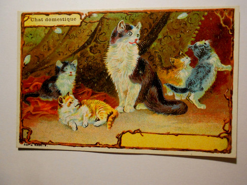 Wundeschön alt selten - wundeschÖn, vor