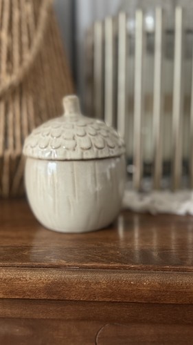 Wunderschöne eichel dose - eichel,